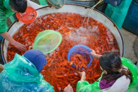 Nhiều tiểu thương tập trung về chợ cá Yên Sở chọn mua cá chép ưng ý đêm 21/1. (Ảnh: Hoàng Hiếu/TTXVN)