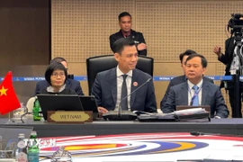 Thứ trưởng Ngoại giao Đặng Hoàng Giang, Trưởng SOM Việt Nam. (Ảnh: Viên Luyến/TTXVN)