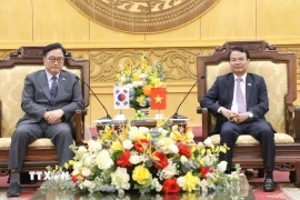 Chủ tịch Quốc hội Hàn Quốc Woo Won Shik (trái) làm việc với Bí thư Tỉnh ủy Ninh Bình Đặng Xuân Phong. (Ảnh: Công Luật/TTXVN)