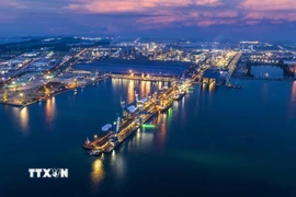 Cảng tổng hợp Công ty cổ phần Hòa Phát Dung Quất nằm trong khu kinh tế Dung Quất. (Ảnh: TTXVN phát)