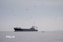 Tàu thủy di chuyển ở eo biển Hormuz, ngoài khơi tỉnh Musandam của Oman, ngày 12/4. (Ảnh: REUTERS/TTXVN)