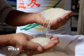 Việt Nam xuất khẩu sang Timor-Leste mặt hàng chủ yếu là gạo, còn lại là hàng tiêu dùng, thực phẩm chế biến. (Ảnh: Hồng Đạt/TTXVN)