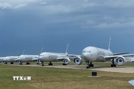 Máy bay Boeing 777 của Hãng hàng không American Airlines (Mỹ) tại sân bay quốc tế Tulsa, Oklahoma. (Ảnh: AFP/TTXVN)