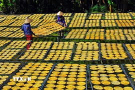 Bằng sự khéo léo và sáng tạo, phụ nữ Đồng bằng sông Cửu Long đã biến những sản vật sẵn có tại địa phương thành các sản phẩm có giá trị gia tăng cao. (Ảnh: Huỳnh Anh/TTXVN)