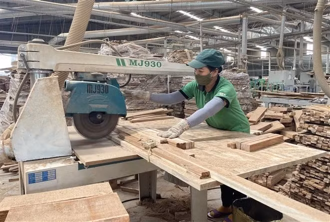 Ảnh chỉ mang tính minh họa. (Nguồn: Thanh Thủy/TTXVN)
