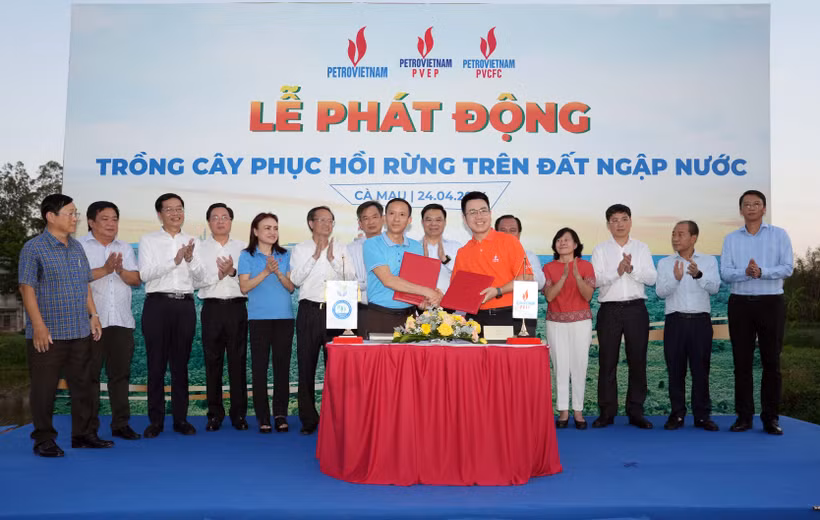 Các đơn vị dầu khí ký thỏa thuận với Viện Khoa học lâm nghiệp Nam bộ, Sở Nông nghiệp và Phát triển nông thôn tỉnh Cà Mau trồng mới 40 ha rừng và 250.000 cây xanh trên địa bàn tỉnh. (Ảnh: PV/Vietnam+)