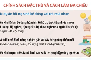 Hà Nội: Hình mẫu trong thực hiện mục tiêu giảm nghèo bền vững