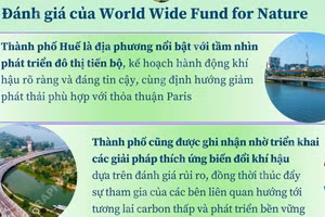 Huế - “Thành phố xuất sắc quốc gia” về ứng phó biến đổi khí hậu 