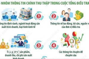 Kế hoạch Tổng điều tra kinh tế năm 2026 rút ngắn tiến độ 7 tháng