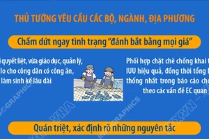 Người đứng đầu bộ, ngành, địa phương chịu trách nhiệm nếu để tàu cá vi phạm IUU 