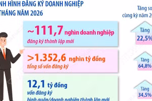 6 tháng năm 2026: Số doanh nghiệp thành lập mới tăng 22,5%