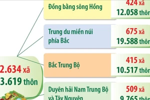 Cả nước có 2.634 xã và 63.619 thôn sau sáp nhập