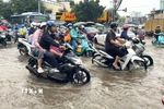 Nước dâng sớm, rút chậm trên đường Phạm Hữu Lầu, kéo dài từ cầu Phước Long đến đường Huỳnh Tấn Phát (Thành phố Hồ Chí Minh) khiến các phương tiện di chuyển chậm, khó khăn. (Ảnh: Hương Giang/TTXVN)