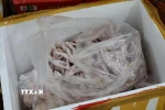 Chân gà đông lạnh không rõ nguồn gốc xuất xứ. (Ảnh: Quang Duy/TTXVN)