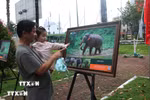 Người dân tỉnh Đồng Nai tham quan triển lãm “Voi Việt Nam, nhận biết, yêu và chung sống an toàn” để tìm hiểu đặc tính và khu vực sinh sống của loài voi. (Ảnh: Lê Xuân/TTXVN) 