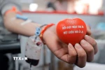 70 năm ngày Thầy thuốc Việt Nam: Hiến máu cứu người-nghĩa cử cao đẹp