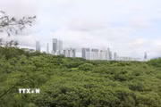  Thâm Quyến gìn giữ những cánh rừng giữa lòng đô thị hiện đại 