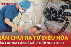 Sức khỏe của bé gái bị rắn cạp nia chui từ điều hòa cắn hiện ra sao?