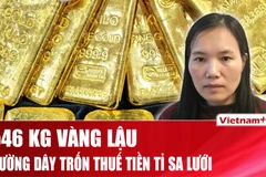 546 kg vàng và tiền tỷ trốn thuế trong đường dây buôn lậu bị lật tẩy