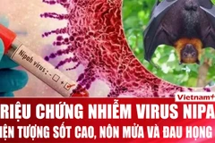 Chuyên gia: Cách nhận biết sớm dấu hiệu của người nhiễm virus Nipah