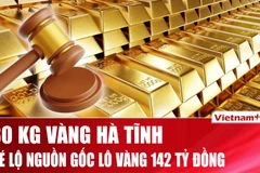 Hé lộ nguồn gốc gần 30kg vàng được tỉnh Hà Tĩnh rao bán đấu giá 