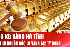 Hé lộ nguồn gốc gần 30kg vàng được tỉnh Hà Tĩnh rao bán đấu giá 