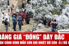 Băng giá phủ trắng đỉnh Mẫu Sơn trong đợt rét mạnh