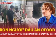 Vụ sản xuất dầu ăn giả với doanh thu hơn 8.200 tỷ đồng, Bộ Y tế nói gì?
