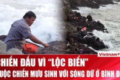 Cuộc chiến với sóng dữ vì “lộc biển” ở Bình Định 