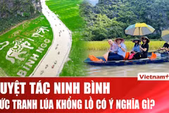 Song mã chầu báo công: Tuyệt tác khổng lồ dệt từ ruộng lúa Tam Cốc - Ninh Bình