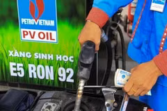 Lý do gì khiến xăng E5 bỗng được nhiều người dân “tranh nhau mua”? 