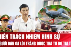 Viện kiểm sát đề nghị miễn trách nhiệm hình sự cho người bán 13 con gà lôi trắng