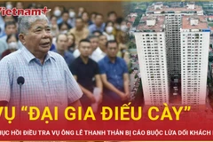 Phục hồi điều tra vụ “Đại gia điếu cày” bị cáo buộc lừa dối khách hàng
