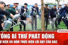 Lễ phát động "Tết trồng cây" được tổ chức đồng loạt trên toàn thành phố Hà Nội