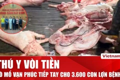 Lộ hành vi vòi tiền của cán bộ kiểm dịch vụ 300 tấn heo bệnh vào trường học