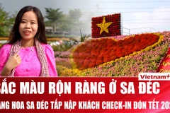 Thủ phủ hoa 300 năm tuổi Sa Đéc tấp nập khách “check-in” đón Tết