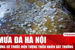 Mưa đá xuất hiện tại nhiều khu vực Hà Nội trong cơn dông sáng 30/3 