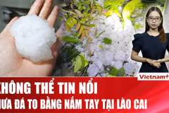 Mưa đá dữ dội trút xuống Bắc Hà làm sập nhà và 4 người bị thương