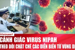 Thành phố Hồ Chí Minh duy trì cảnh giác cao, virus Nipah có khả năng gây tỷ lệ tử vong cao