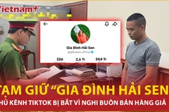 Chủ kênh TikTok 'Gia đình Hải Sen' xóa hết video sau khi bị điều tra?