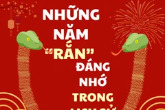 Điểm lại những năm "rắn" đáng nhớ trong lịch sử Việt Nam