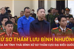 Đồng phạm đề nghị triệu tập lãnh đạo tỉnh đến phiên tòa ông Lưu Bình Nhưỡng