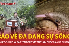 Nỗ lực cứu hộ và bảo tồn động vật hoang dã tại Vườn quốc gia Cúc Phương