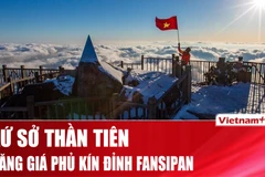 Băng giá phủ kín đỉnh Fansipan, khung cảnh như cổ tích mùa Giáng sinh