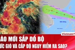 Bão Matmo sắp đổ bộ biển Đông mạnh cỡ nào?