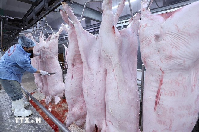 Công điện của Thủ tướng về chấn chỉnh công tác kiểm soát giết mổ gia súc ttxvn-giet-mo-gia-suc.jpg