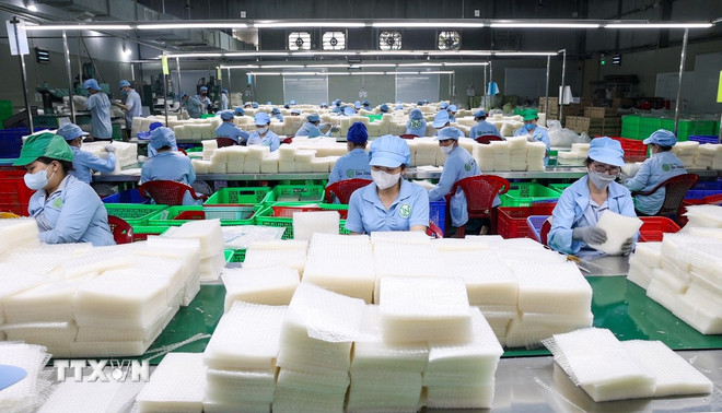 作業員がライスペーパーを分類している。(写真:Giang Phuong/VNA) ttxvn-banh-trang-tay-ninh-resize.jpg