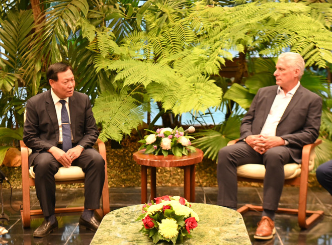 Chủ tịch Cuba Miguel Díaz-Canel Bermúdez tiếp Thứ trưởng Đỗ Xuân Tuyên. (Ảnh: Việt Hùng/TTXVN) vietnam-cuba.jpg