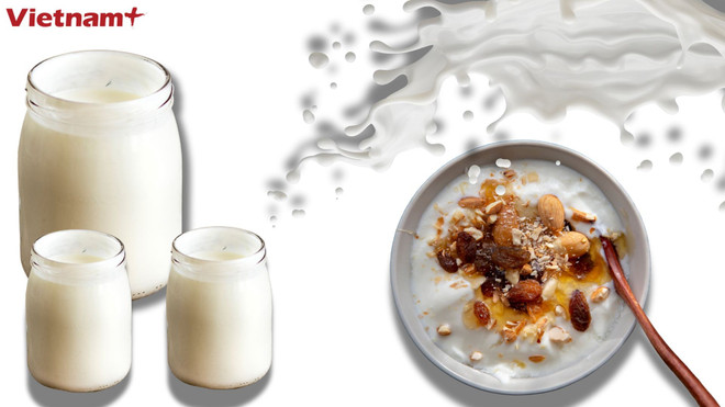 Joghurt ist reich an Probiotika, Protein, Kalzium und B-Vitaminen. In Kombination mit anderen Lebensmitteln liefert Joghurt zusätzliche wichtige Nährstoffe und sorgt so für eine ausgewogene Mahlzeit. (Quelle: Vietnam+) sua-chua-2.jpg