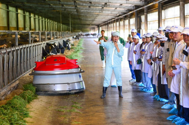 vinamilk-4.jpg